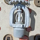 Central Upright Fire Sprinkler 28647 14716 Heads. Fixed Price $55.00.