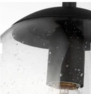 2-LEO Hang Globe 8 In. 1-BULB Midnight Black Pdant Light W/ Clear Seeded Glass. Fixed Price $120.00.