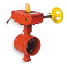 Gruvlok 7005015008 Butterfly Valve, Grooved, 2 In, Iron. Fixed Price $1360.79.