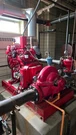 Clarke 60HP Packaged Diesel Fire Pump Assembly Detroit 750GPM -800HRS. Fixed Price $8700.00.