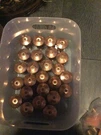 Reliable Xlo Series Upright Storage Sprinklers Brass 3/4" Npt R2921. Fixed Price $7.00.