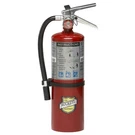 Buckeye Abc 5LB Dry Chemical Fire Extinguisher Manufactured On 8/2025. Fixed Price $49.99.