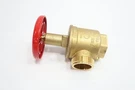 Giacomini A56Y001 Fire Hose Valve 1-1/2IN Npt. Fixed Price $76.00.